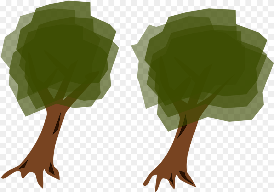 Plantleaftree, Person, Animal, Bird Free Transparent Png