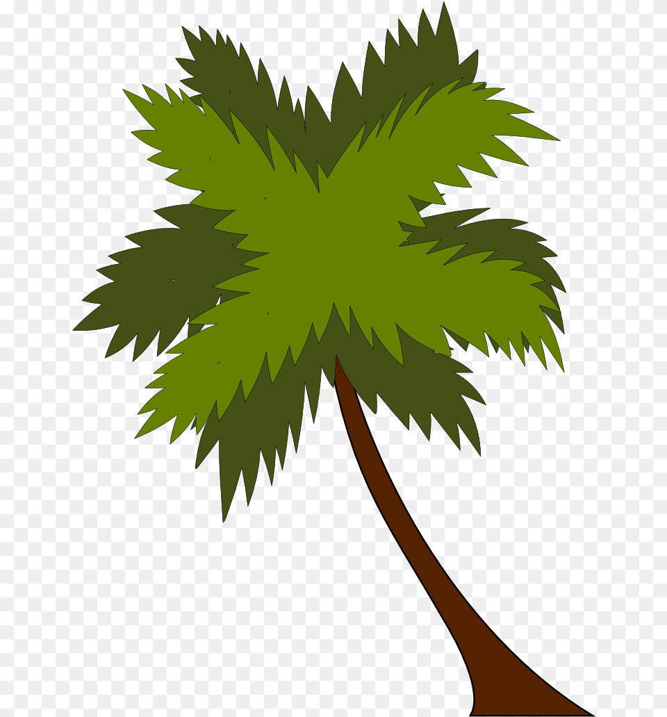 Plantleaftree Beach Resort, Leaf, Palm Tree, Plant, Tree Free Png Download