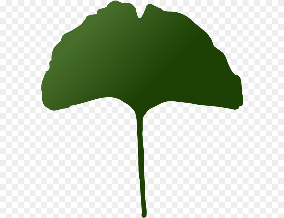 Plantleaftree Clipart Royalty Svg Maidenhair Tree, Green, Leaf, Plant, Person Free Png