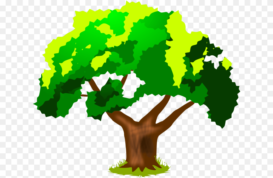 Plantleaftree Clipart Royalty Svg Cofton Primary School, Green, Plant, Potted Plant, Tree Png