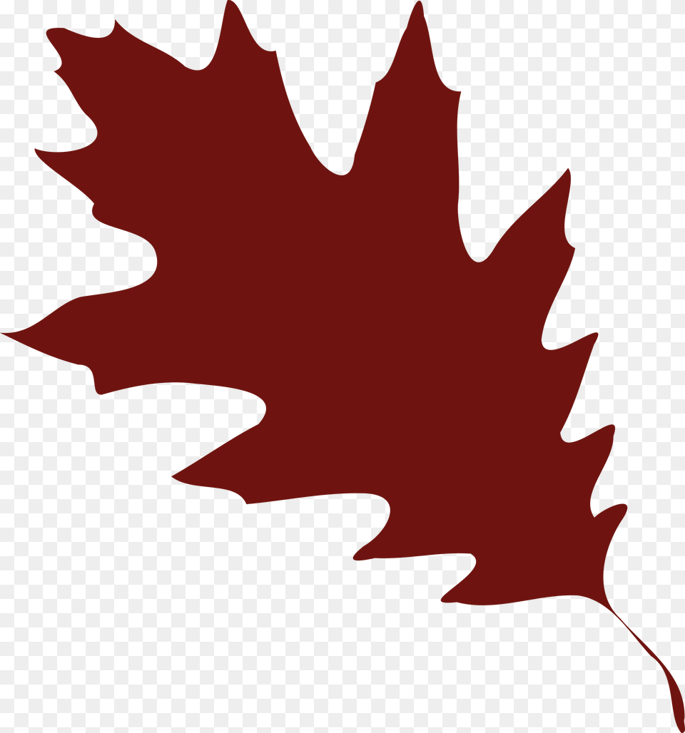 Plantleaftree Clipart Royalty Svg Oak Leaf Vector, Plant, Tree, Maple Leaf, Person Free Png Download