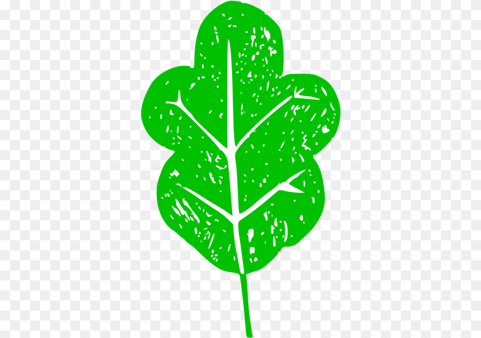 Plantleaftree Illustration, Green, Leaf, Plant, Person Free Png Download