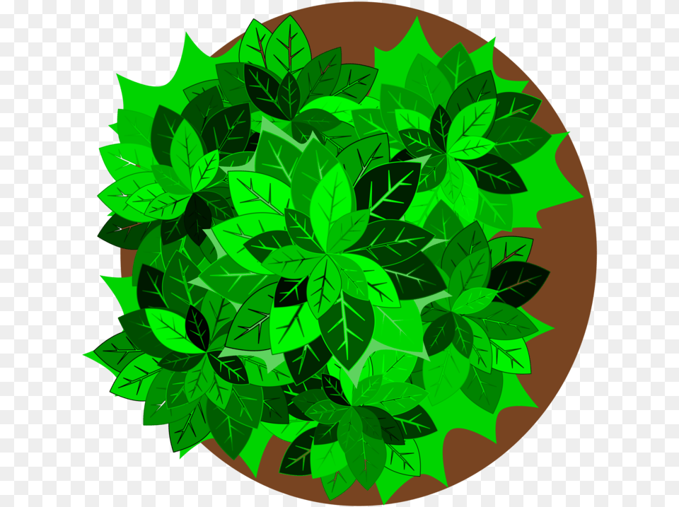 Plantleaftree Plants Clipart Top View, Green, Herbal, Herbs, Leaf Free Transparent Png