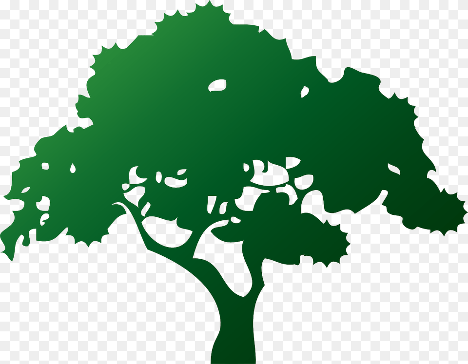 Plantleaftree Tree Service Clipart, Oak, Plant, Silhouette, Sycamore Png Image