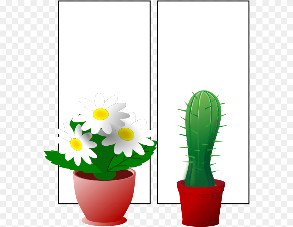 Plants 001 Window With Plants Window Clipart, Daisy, Flower, Plant, Cactus Free Png