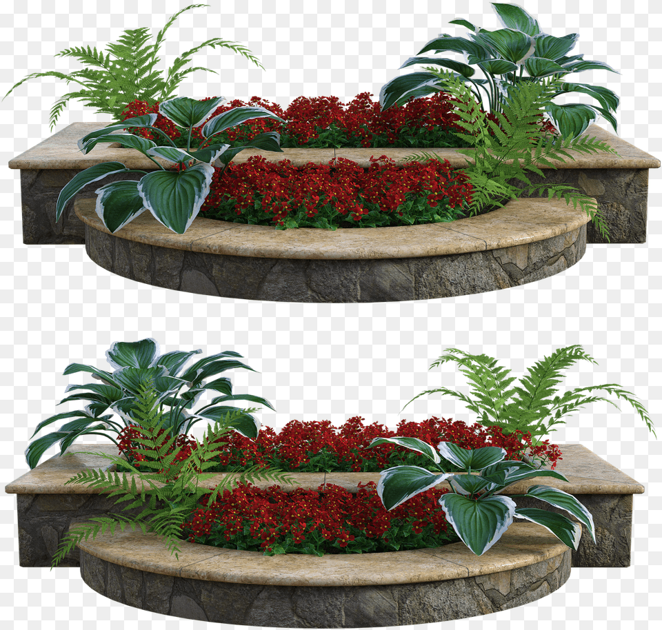 Plants, Plant, Potted Plant, Planter, Vase Png