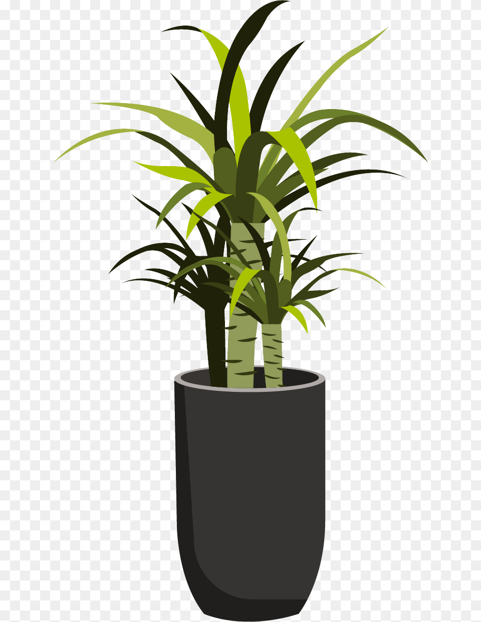 Plants, Palm Tree, Plant, Potted Plant, Tree Png