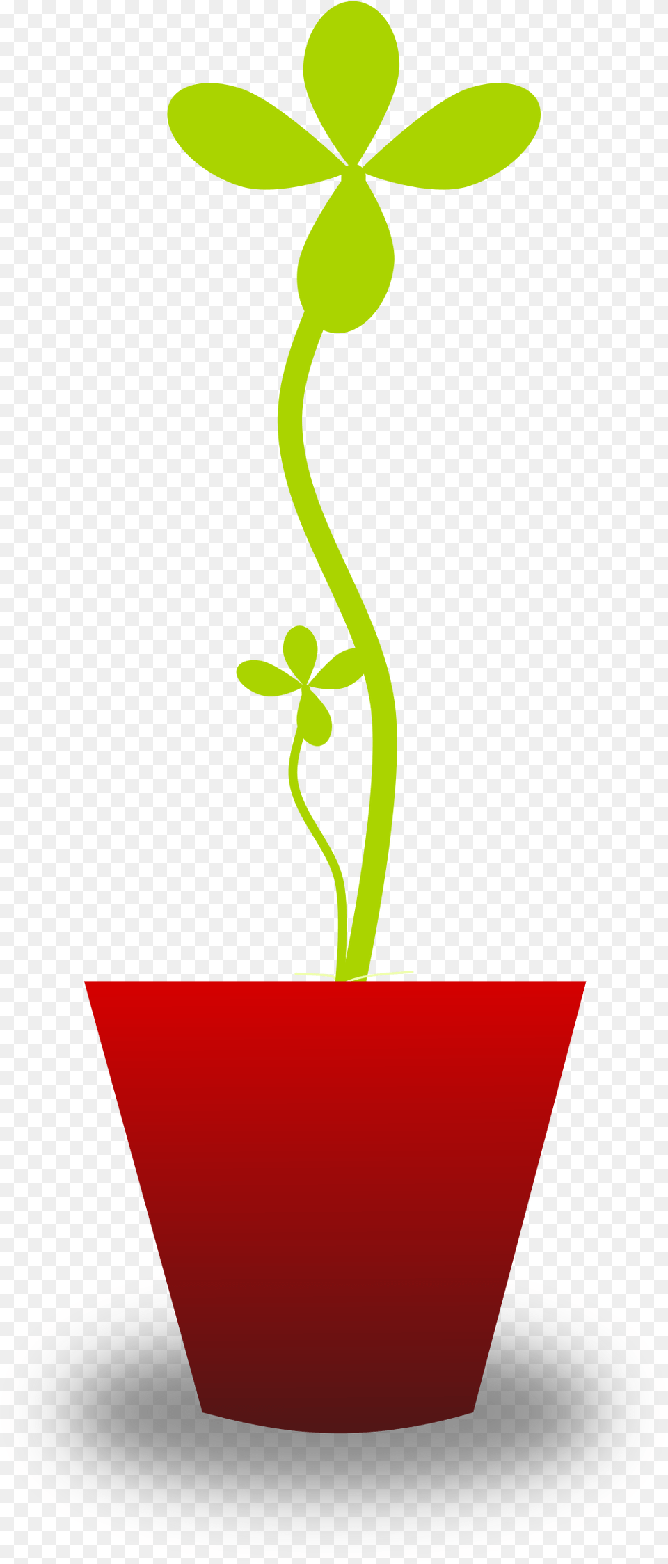 Plants, Leaf, Plant, Sprout, Potted Plant Free Png