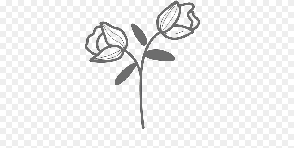Plants, Flower, Plant Free Png
