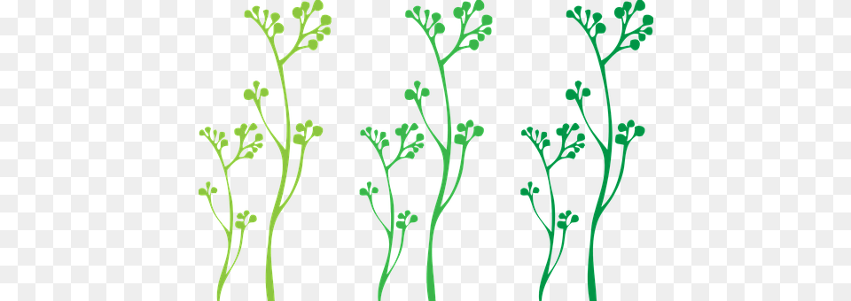 Plants Pattern, Art, Floral Design, Graphics Png Image