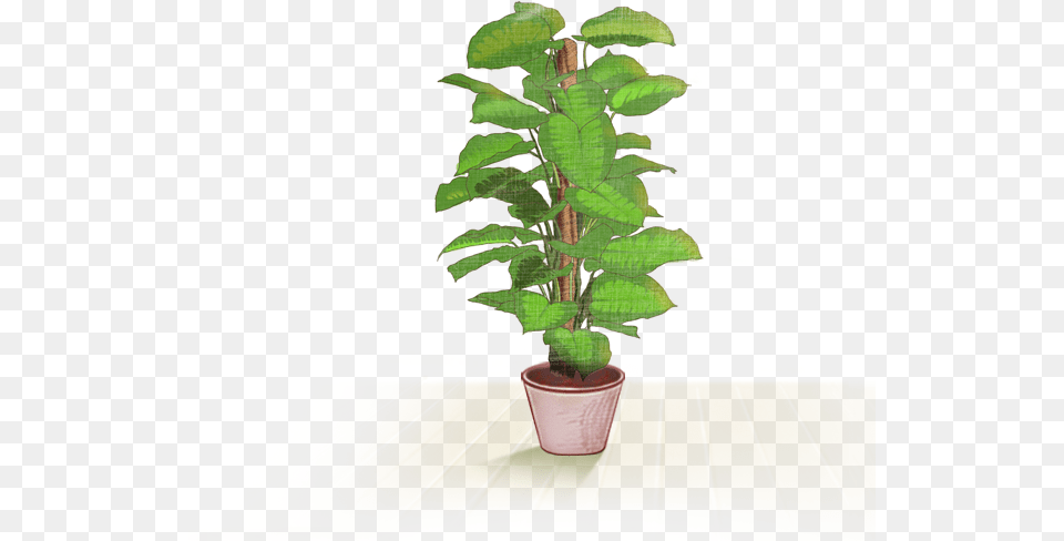 Plants, Jar, Leaf, Plant, Planter Free Png Download