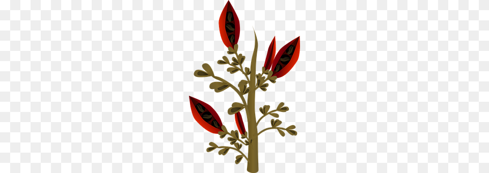 Plants Art, Floral Design, Flower, Graphics Png Image