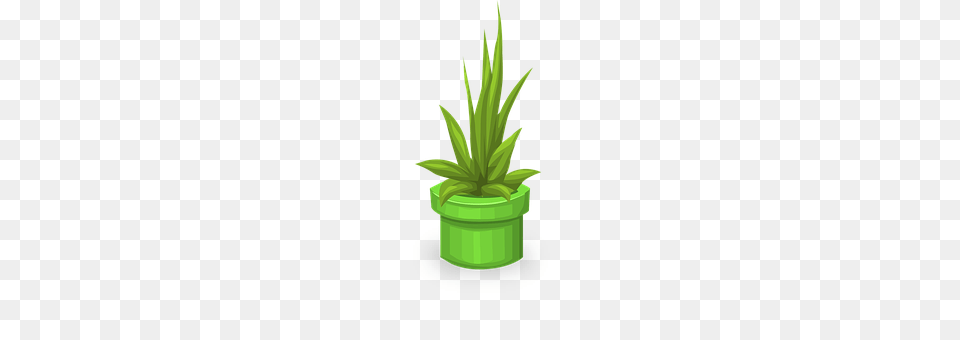 Plants Plant, Potted Plant, Aloe Png