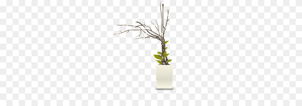 Plants Flower, Flower Arrangement, Ikebana, Plant Free Transparent Png
