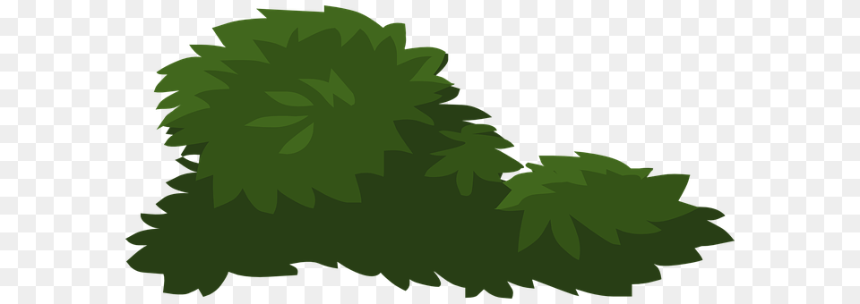 Plants Green, Plant, Tree, Vegetation Free Transparent Png