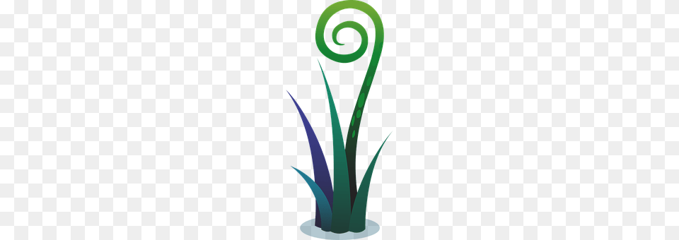 Plants Spiral, Smoke Pipe, Aloe, Plant Free Png Download