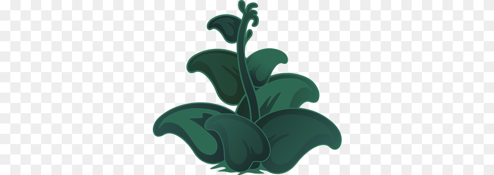 Plants Plant, Flower, Art, Leaf Png Image