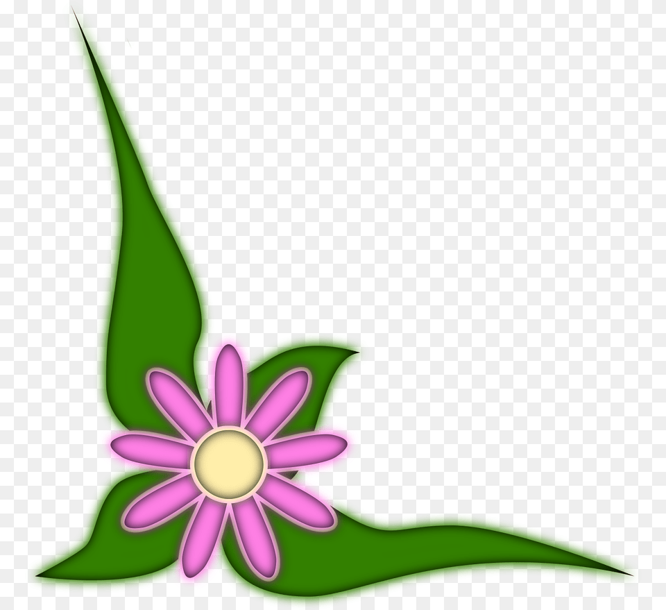 Plants, Anther, Daisy, Flower, Plant Png Image