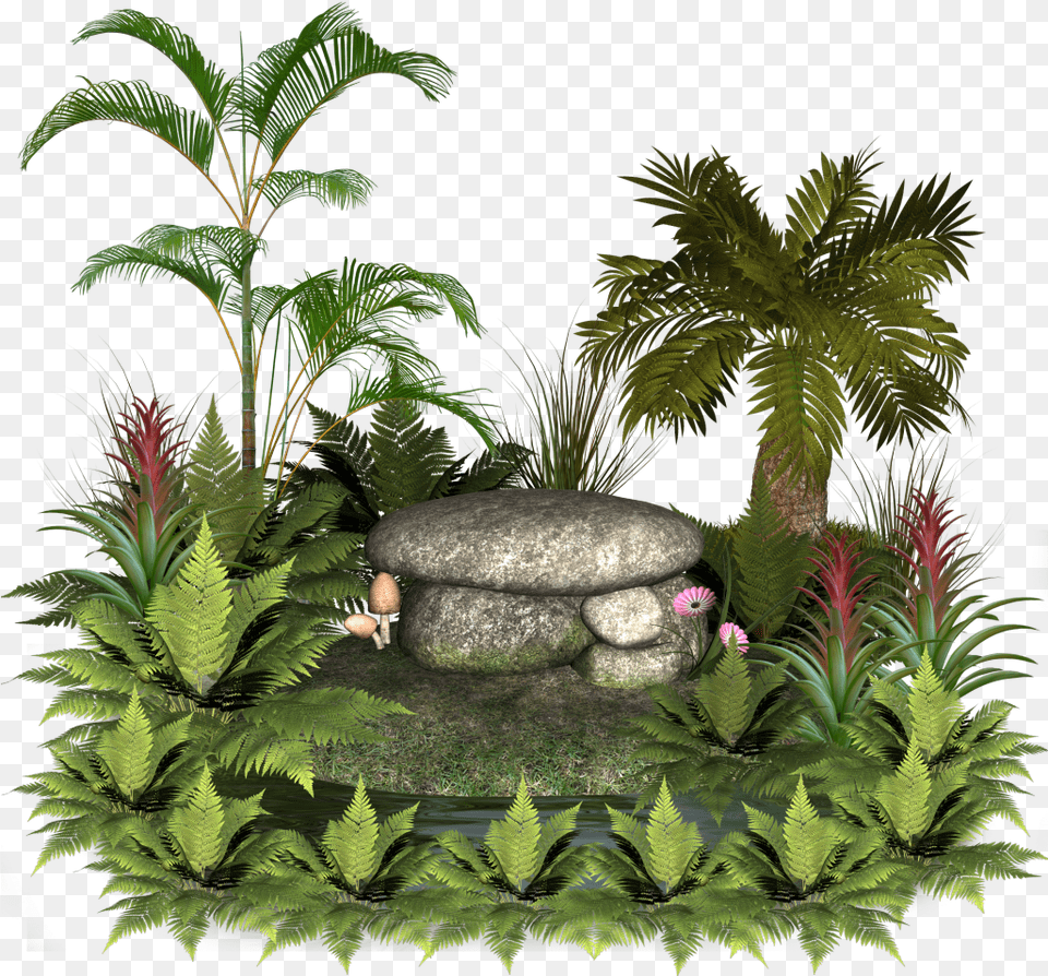 Plants And Rocks Palm Tree Pot, Fern, Vegetation, Plant, Outdoors Free Png Download