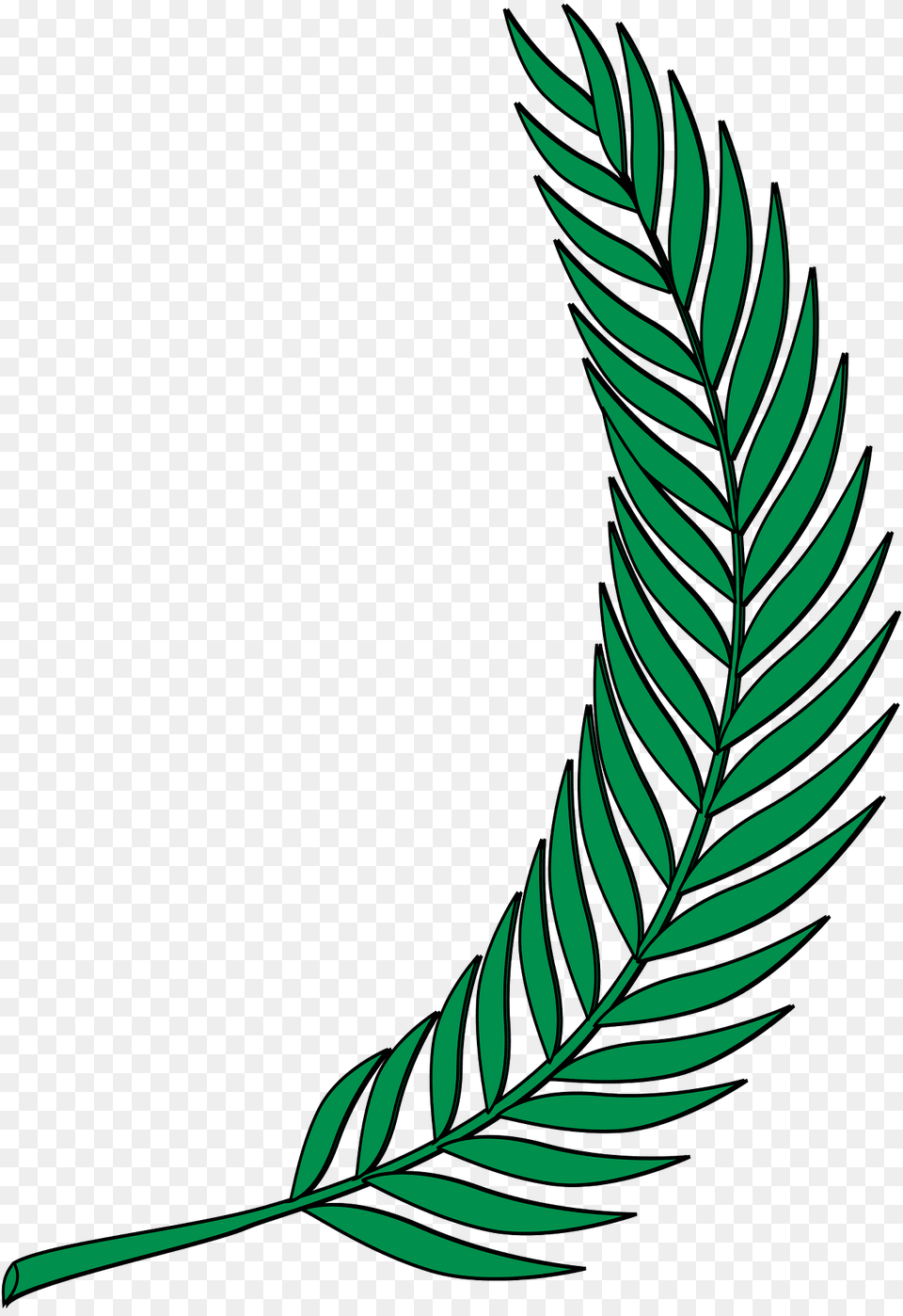 Plants Clipart, Green, Leaf, Plant, Grass Png