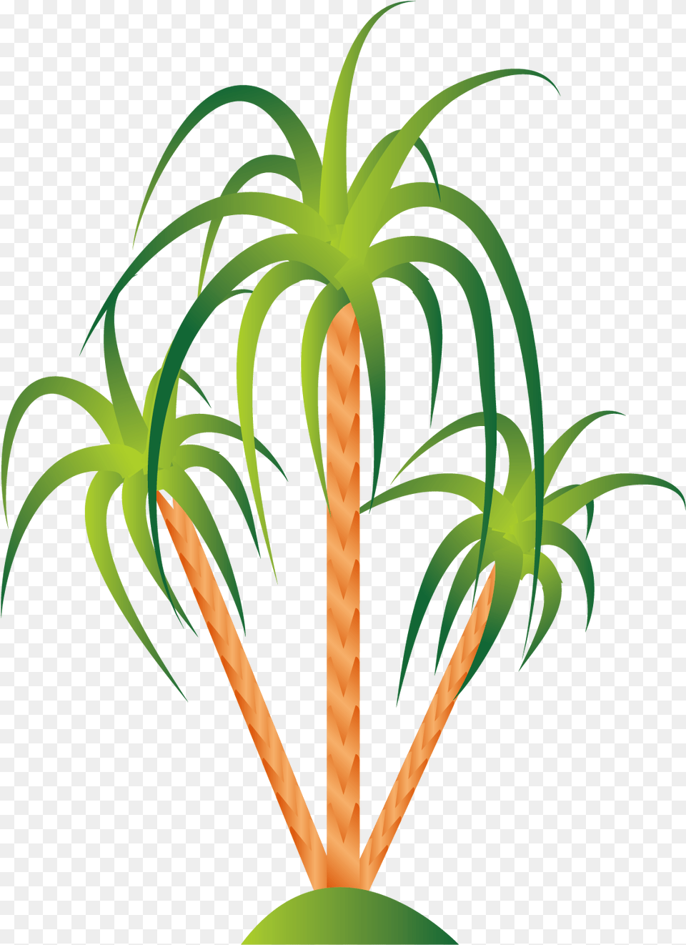 Plants Clipart, Carrot, Food, Green, Plant Free Png Download