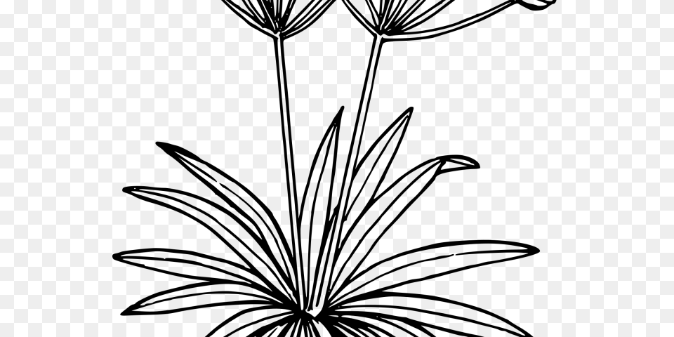 Plants Clipart, Gray Free Png Download