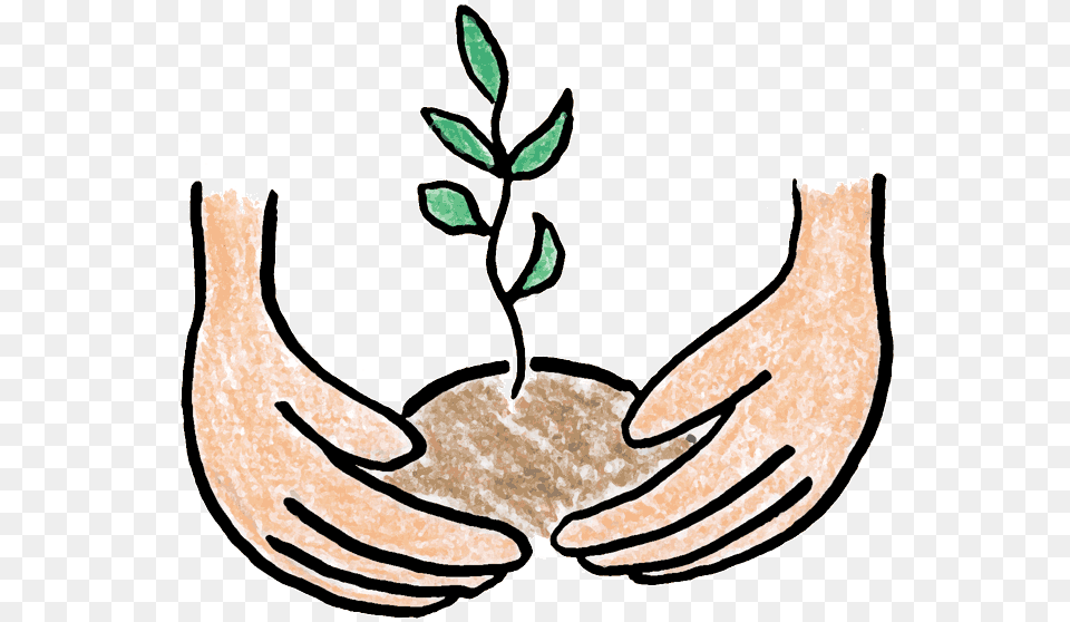 Plants Clipart, Leaf, Plant, Herbal, Herbs Png Image