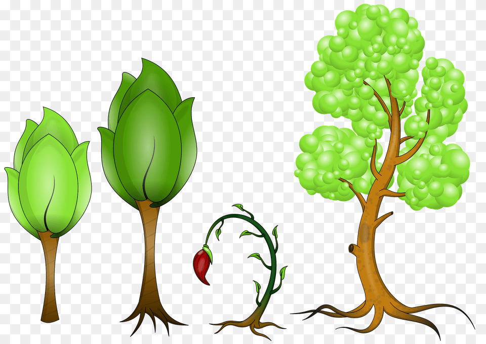 Plants Clipart, Green, Plant, Vegetation, Art Free Png