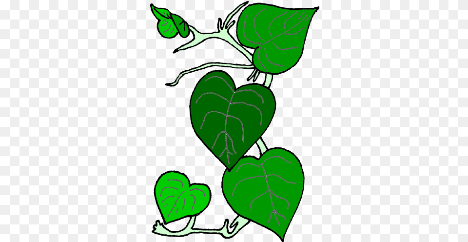 Plants Clipart, Leaf, Plant, Vine Free Png Download