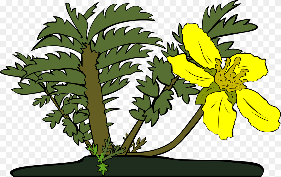 Plants Clipart, Flower, Plant, Vegetation, Daffodil Png