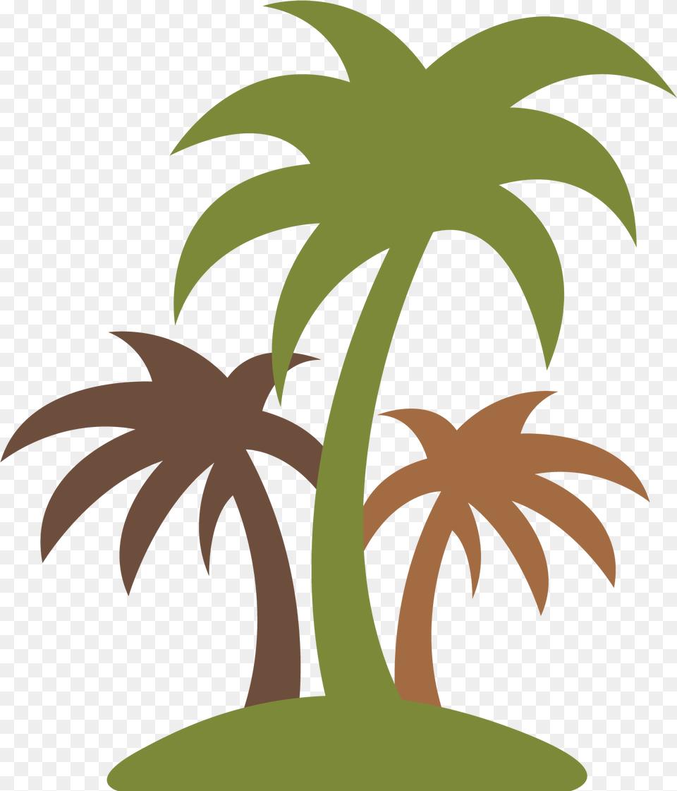 Plants Clipart Coconut Tree Coconut Cco, Leaf, Palm Tree, Plant Free Transparent Png