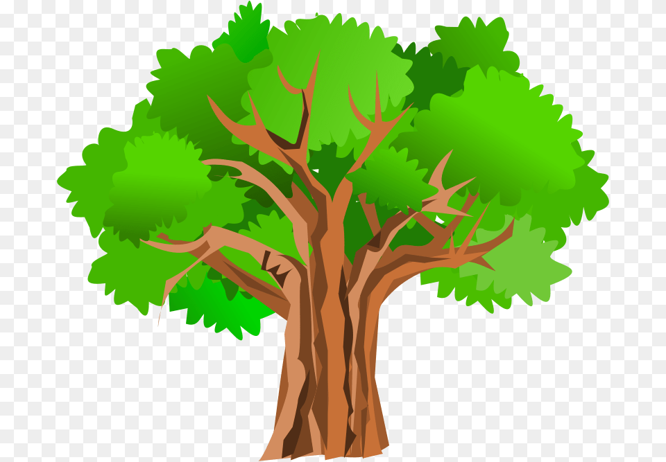 Plants Clipart Nature, Plant, Tree, Tree Trunk, Oak Free Png Download