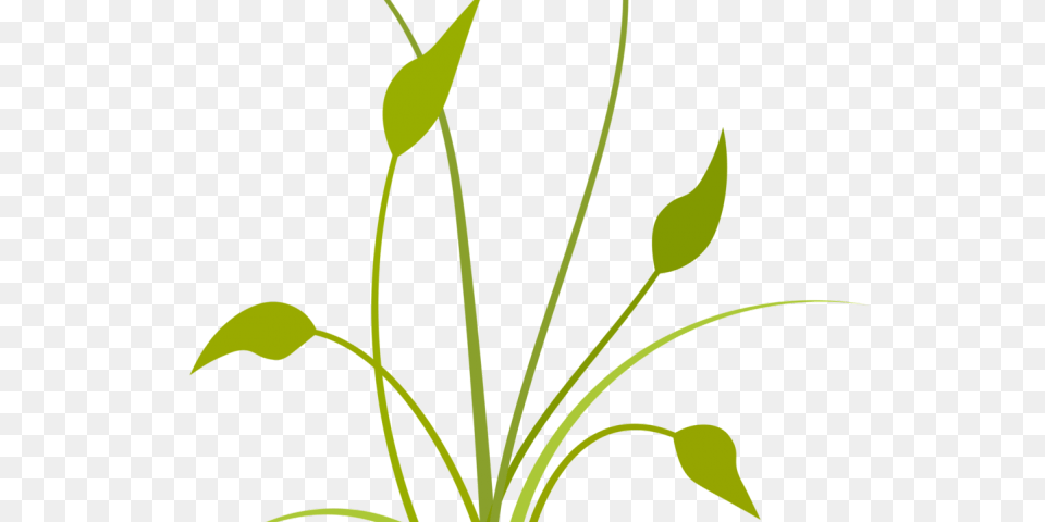 Plants Clipart Plantation, Art, Floral Design, Graphics, Green Free Transparent Png