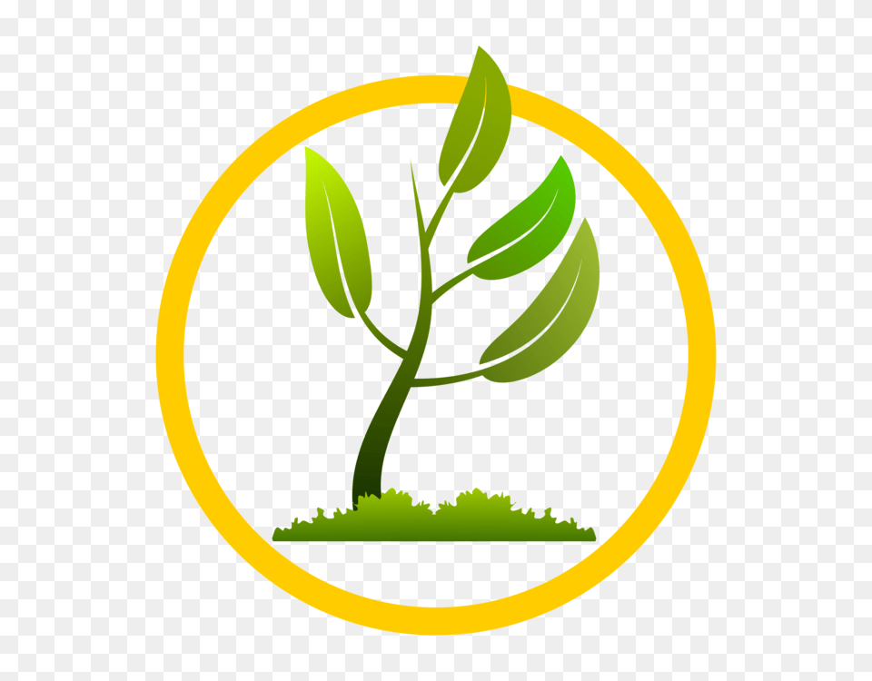 Plants Computer Icons Formats Leaf Vine, Bud, Flower, Herbal, Herbs Free Transparent Png