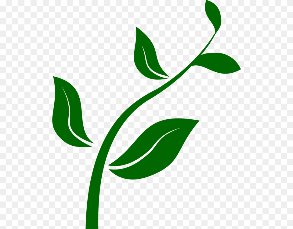 Plants Computer Icons Seed Tree Planting Sowing, Herbal, Plant, Leaf, Herbs Free Png Download