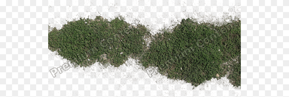 Plants Decals Grass Decal Texture, Moss, Plant, Soil, Vegetation Free Png Download