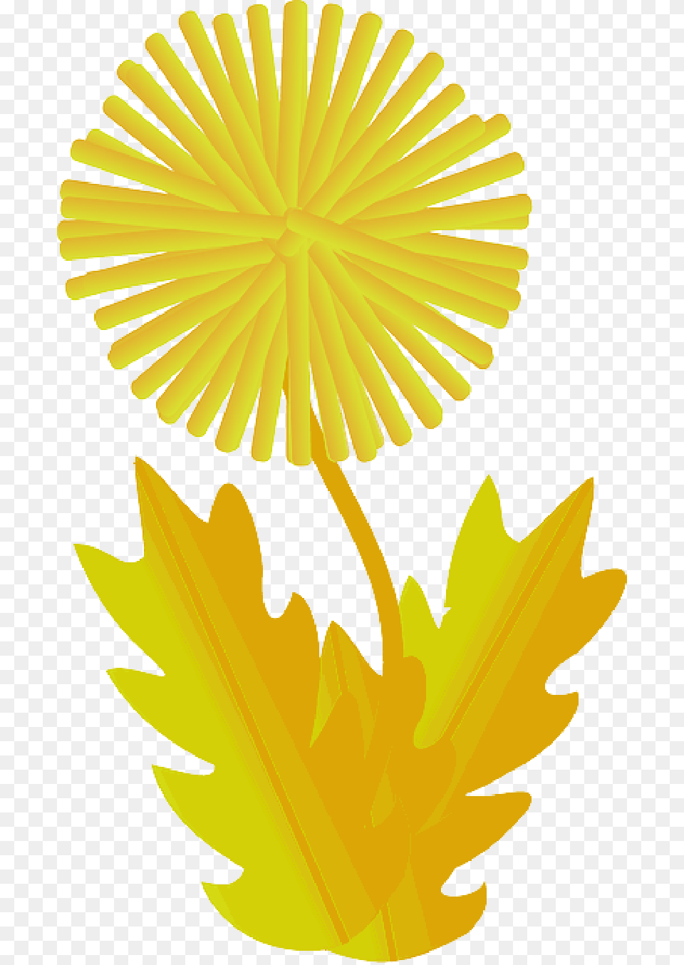 Plants Flower Flowers Cartoon Dandelions Dandelion Clip Art, Leaf, Plant, Daisy, Smoke Pipe Png