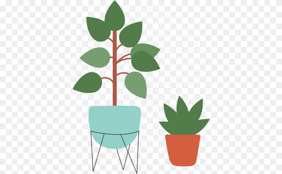 Plants Flowerpot, Jar, Leaf, Plant, Planter Free Png Download