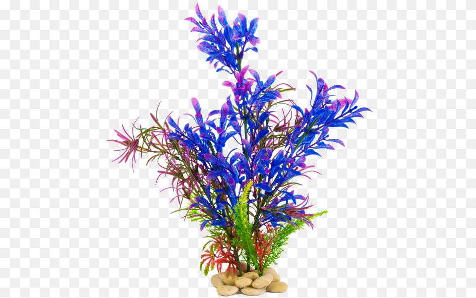 Plants For Aquarium, Purple, Plant, Flower, Flower Arrangement Free Transparent Png
