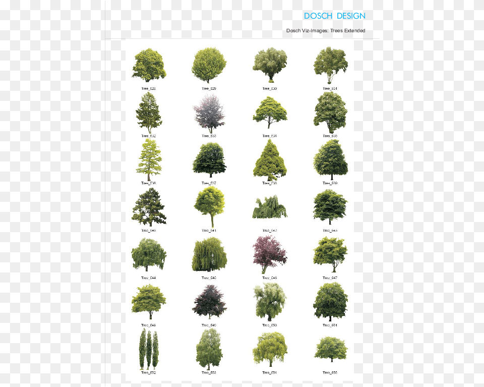 Plants For Photoshop Attractive Quantity Discounts Up Para Photoshop, Vegetation, Tree, Plant, Potted Plant Png