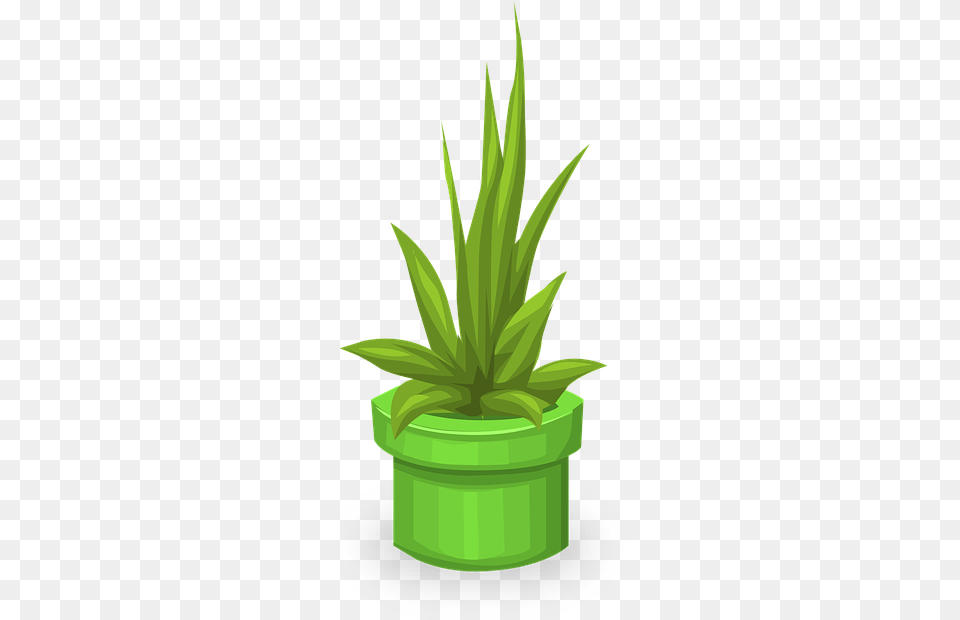 Plants Greenery Leaves Leafy Green Pots Tanaman Hias Vector, Aloe, Plant, Potted Plant Free Png Download