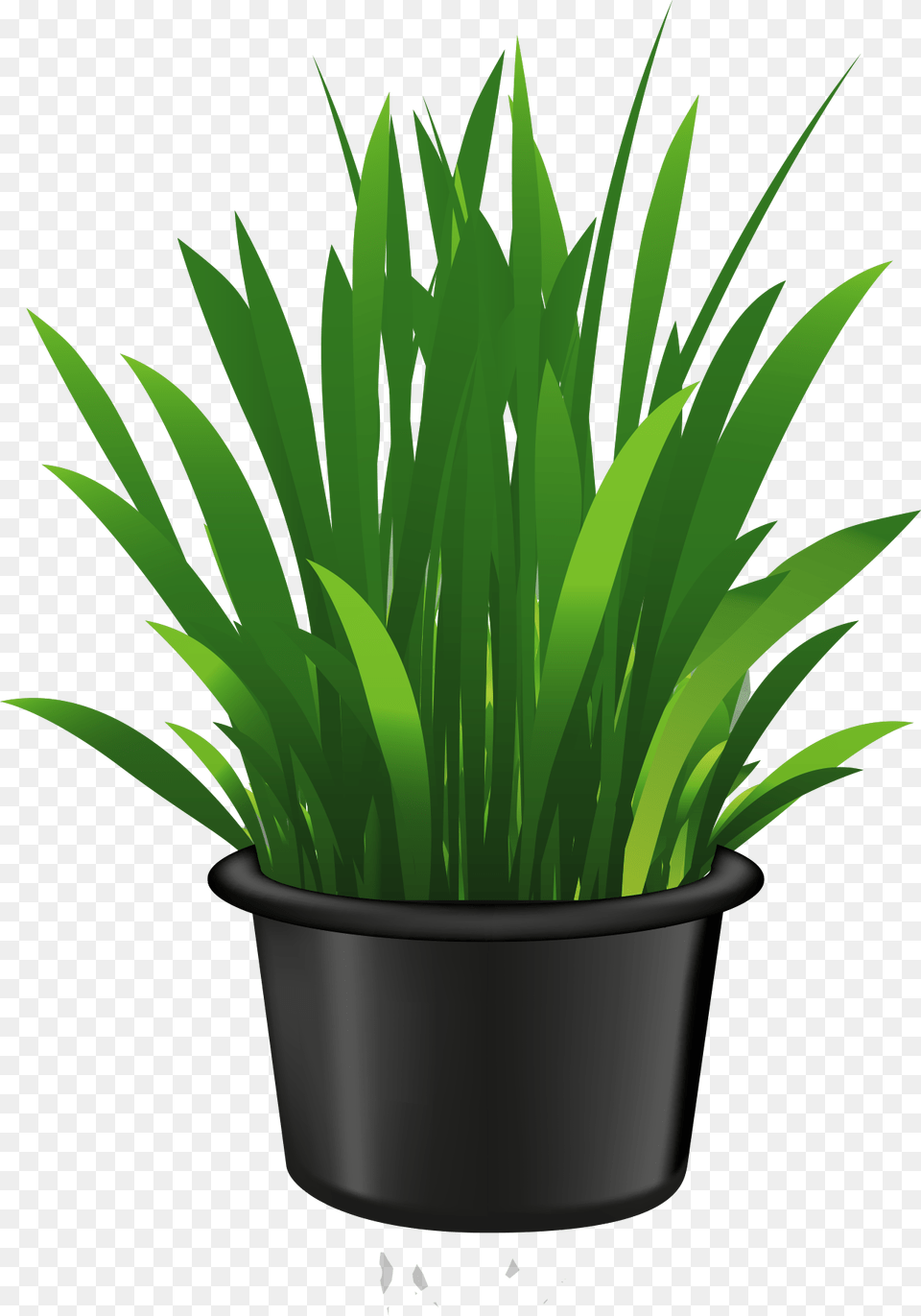 Plants In Pot Clipart, Grass, Vase, Pottery, Potted Plant Png