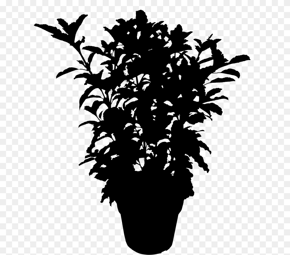 Plants Leaf Flowering Silhouette Plant Download Plant Silhouette, Gray Free Transparent Png