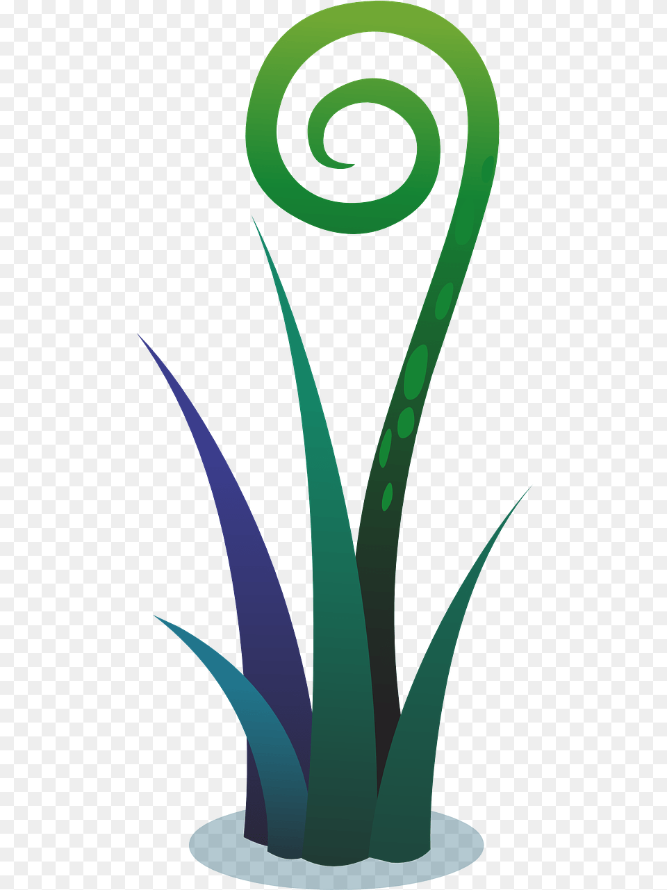 Plants Leaves Vines Picture Plants, Spiral, Coil Png