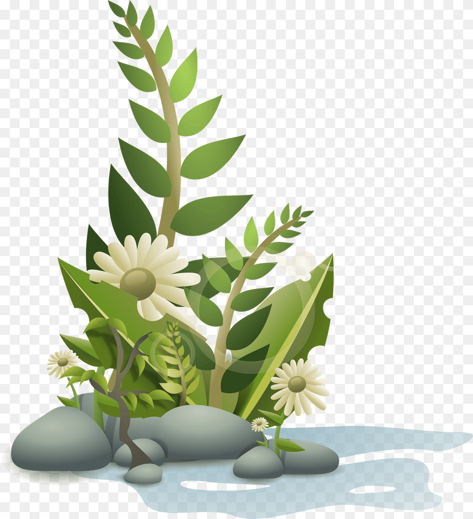 Plants Pebbles And Flowers Clipart, Art, Pattern, Graphics, Plant Png