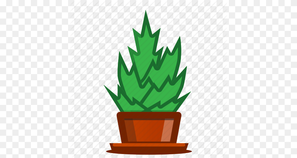 Plants Potted Plant Succulent Trees Icon, Green, Jar, Leaf, Planter Free Transparent Png