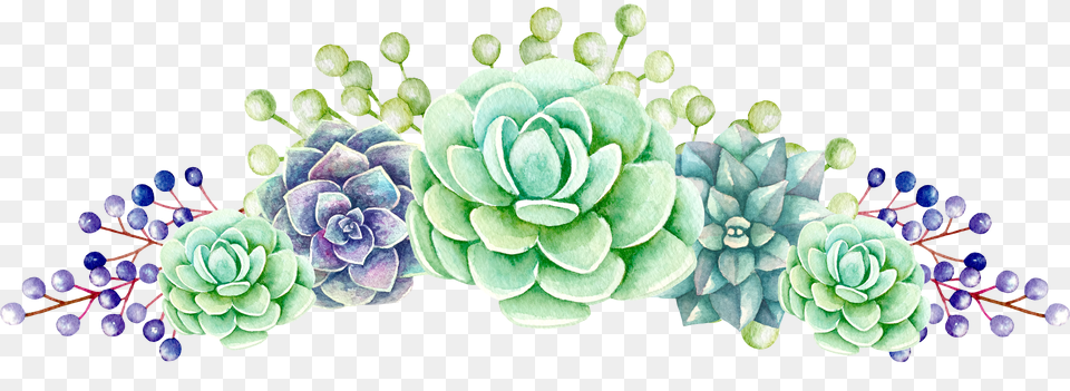 Plants Succulent Transparent Free Watercolor Succulent Clipart Png