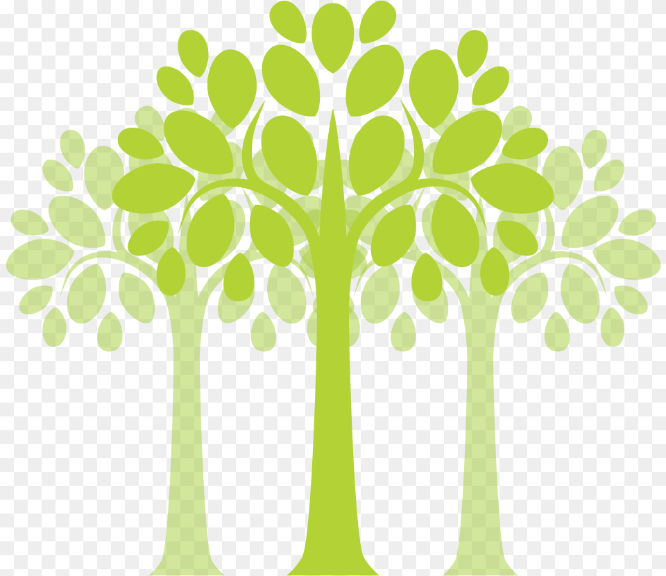 Plants Trees Drumstick Tree, Art, Green, Graphics, Floral Design Free Png