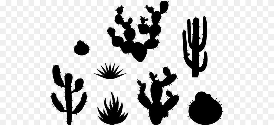 Plants Wall Decals Weedecor Desert Cactus Cartoon, Gray Free Png