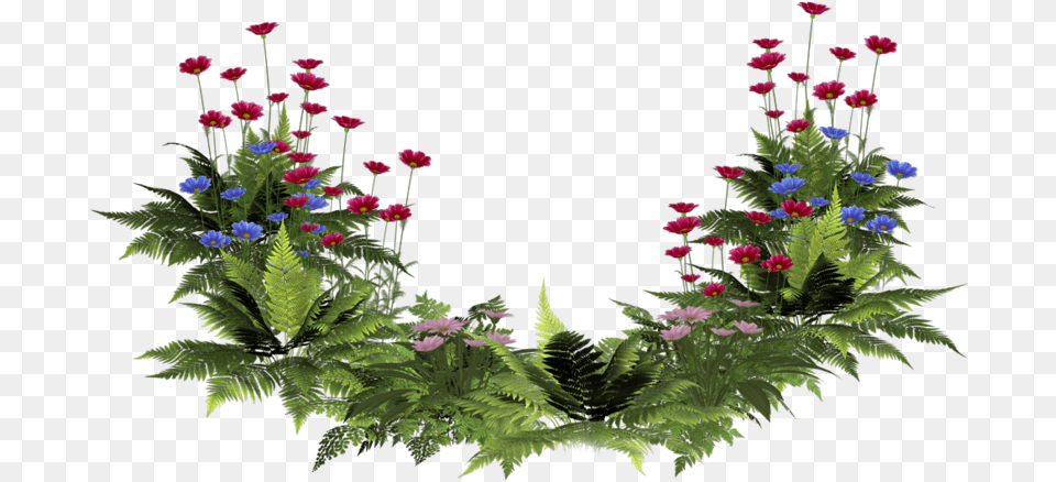 Plants With Flower, Geranium, Flower Arrangement, Plant, Pattern Free Transparent Png